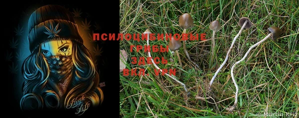 каннабис Дмитров