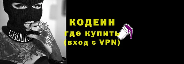шишки Пестово