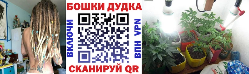 Бошки Шишки план  Купить  Калининск 
